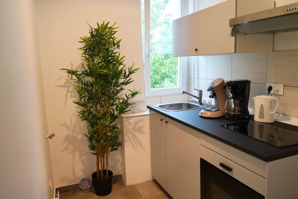 Rm-1 - Appartement F2 Au 1Er Etage Pour 1-3 Pers Mulhouse Exterior foto